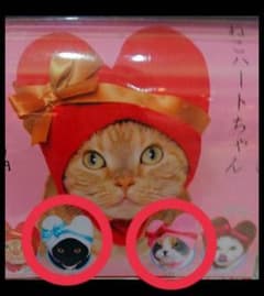 猫のかぶりもののサムネイル