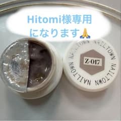 NAILTOWN irogel ジェルネイル Z-017のサムネイル