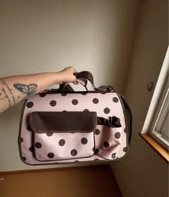 Pet Queen ペット用キャリーバッグ ドット柄のサムネイル