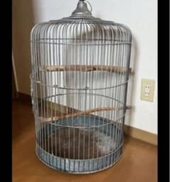 アンティーク 特大 鳥かご 鳥籠 ケージ インコ 昭和レトロ 鉄製 - メルカリ