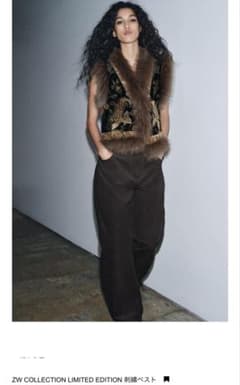 zara zw COLLECTION LIMITED EDITION 刺繍ベスト zara zw COLLECTION LIMITED EDITION 刺繍ベスト - メルカリ