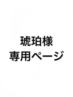 琥珀様専用ページのサムネイル