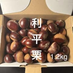 秋の味覚「生栗（利平栗）：約１.2kg」 栃木県産のサムネイル