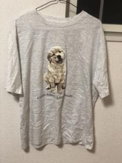 ちょんさ様専用のサムネイル