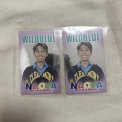 WILDBLUE 鈴川直弥 シールのサムネイル