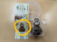 もみもみたぬきん 【栗色 】のサムネイル