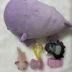 ウーパールーパーセットのサムネイル