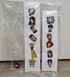 【美品】タイプムーン　月姫　ピントレコレクション　全14種　Fate 美品】タイプムーン 月姫 魔法使いの夜 Fate ピンズセット 全14種 レア