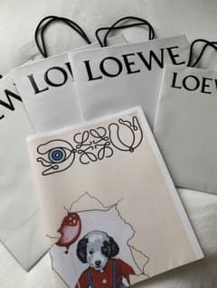 ロエベ  ショッパー紙袋とロエベ カタログのサムネイル