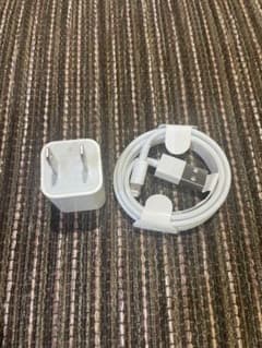 Apple iPhone 정품 충전기 + AC 어댑터