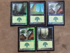 オンスロート　森　フォイル　4枚　旧枠 MTG】森 / Forest 旧枠 Foil 4枚セット - メルカリ