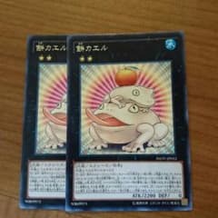 餅カエルのサムネイル