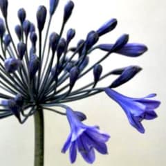 m78050688408_1.jpg?1726211567