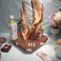 913ホーンウッド硬質流木 アクアリウム 灰汁抜 煮沸殺菌済 透明ベース