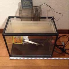 30cm水槽セットのサムネイル