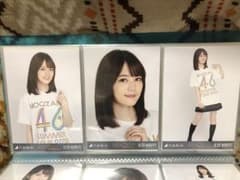 乃木坂46 生写真 生田絵梨花 コンプ ライブT(大阪)のサムネイル