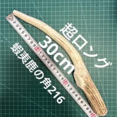 蝦夷鹿 角 おもちゃ 鹿の角 鹿角 犬用品 鹿ツノ 中型 大型 犬 NO216