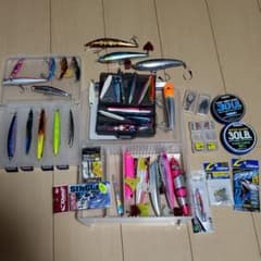 加藤さま専用　青物ルアーツインパワーのサムネイル