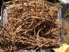 ドクダミの根(鱼腥草の根)200gのサムネイル
