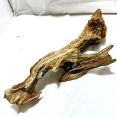 流木32【複雑系】アク抜き済み 最大長約34cm - メルカリ