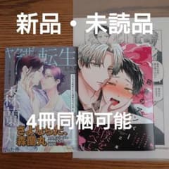 BL 漫画 26冊セット BL 漫画セット、まとめ売り 26冊 BL 漫画 26冊セット