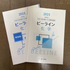 2024 ビーライン 化学 参考書のサムネイル