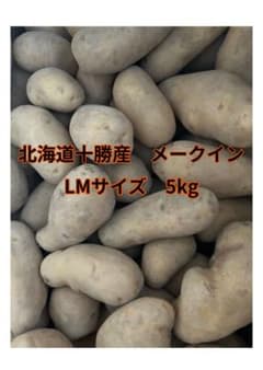 北海道十勝産 メークイン LMサイズ 5kgのサムネイル