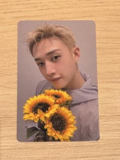 Stray Kids RUN IT 名古屋 9/6 CD購入特典 バンチャンのサムネイル