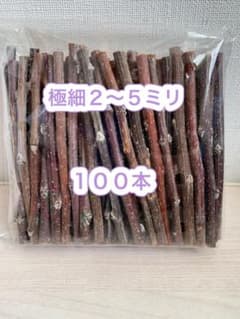 かじり木　りんごの木　極細100本 - 2