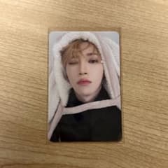 ALD1 EUPHORIA MAKESTAR 트레카 우사기 담요 아르노 ARNO