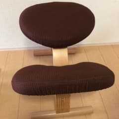 サカモトハウス バランスチェア・イージー&専用カバーのサムネイル