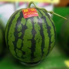 植木産　すいかのサムネイル