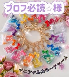 プロフ必読様⭐︎イニシャル　カラー　リボン　シェイカー　デコ　グリッター　名前のサムネイル