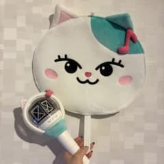 NiziU】ペンライト ペンライトカバー うちわケース - メルカリ