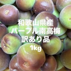 和歌山県産 パープル南高梅 訳あり品1kg - メルカリ