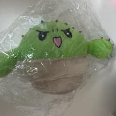 み*み様 ぐちつぼ ぬいぐるみ 限界メンバー サボテン - メルカリ