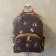 美品・完売品】COACH / コーチ リュック ハリネズミ柄 PVC×レザー