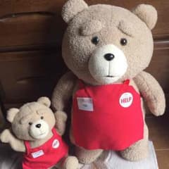 テッド  ted ぬいぐるみのサムネイル