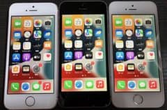 iPhoneSE 16GB 16GB 32GB SIMフリー 本体 A25 iPhoneSE 16GB 16GB 32GB SIMフリー 本体 A25 - メルカリ