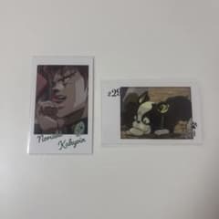 ジョジョの奇妙な冒険 花京院典明 イギー 3部 カード チェキ ジョジョ