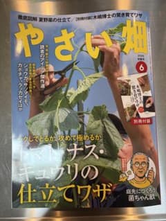 やさい畑 2026年6月号 別冊付録付きのサムネイル
