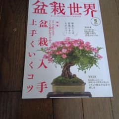 盆栽世界 2022年5月号 盆栽専門誌 - メルカリ