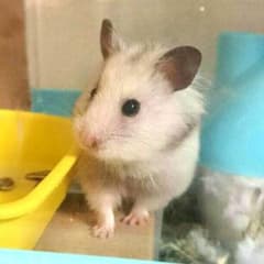 久美タン様のサムネイル