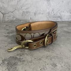COACH Y2K 소호 시그니처 여성 벨트