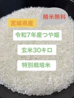 令和7年産 特別栽培 宮城県つや姫 玄米30キロ 送料無料のサムネイル