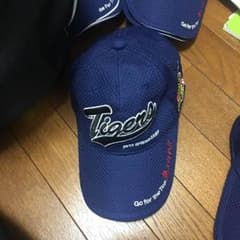 阪神タイガースのサムネイル