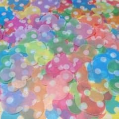 ミッキークラフトパンチドット 300枚のサムネイル