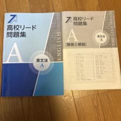高校リード問題集 英文法A 解答と解説付きのサムネイル