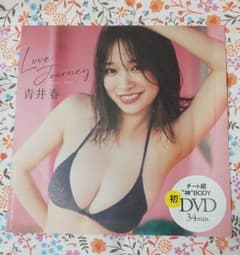 週刊プレイボーイ 付録 DVD 青井春のサムネイル