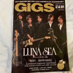 GiGS 2020 01 NO.496のサムネイル